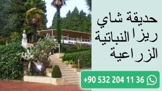 حديقة شاي ريزا النباتية الزراعية